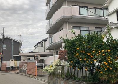 【外観】 | タウンコート南町田 | マンションの外観は非常に重要なポイントです！外観の善し悪しは資産価値に大きな影響を与えます。外観のいいマンションを購入することで、高値で売却がしやすく、買い手が見つかりやすいというメリットがあります。