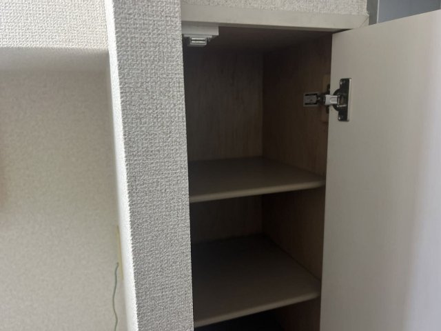レオパレスピーヌスのその他
