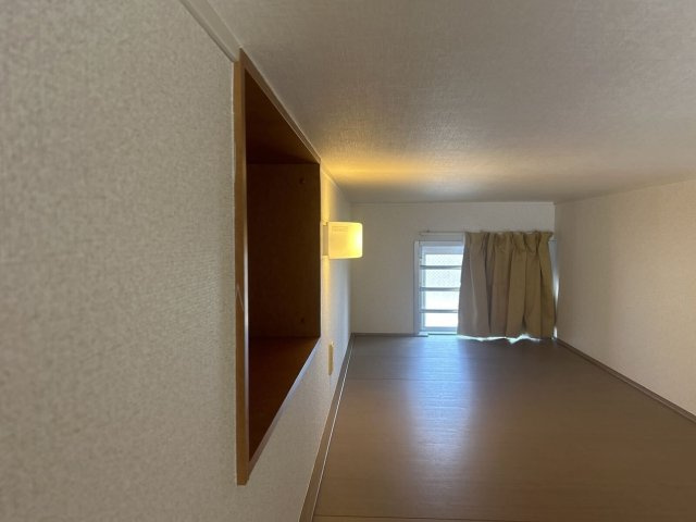 レオパレスピーヌスのその他
