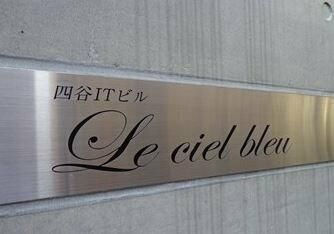 ル・シェルブルーのその他