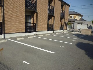 レオネクストピースフルミヅキのその他