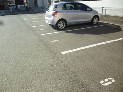 レオパレスすばるのその他