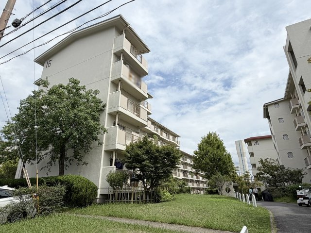 境谷西第2住宅団地16号棟|即ご入居可能！敷地内・敷地外に駐車場も完備しております。空き状況などスタッフへお気軽にご相談ください♪（R8.9撮影）