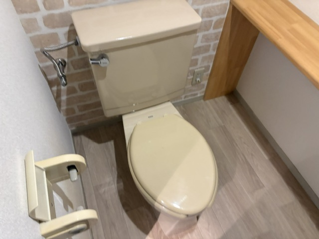 ディフロイデェのトイレ
