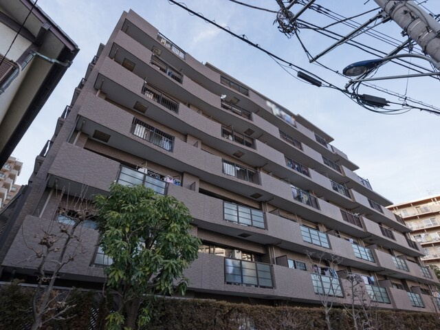 メイツ王子