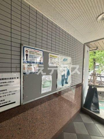ルミエールダイドーのその他