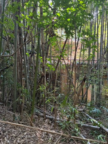 朝倉市大庭1513番1の外観