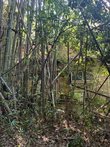 朝倉市大庭1513番1の外観