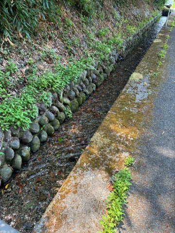朝倉市大庭1513番1の周辺