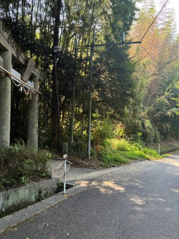 朝倉市大庭1513番1の周辺