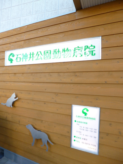 ワンフォルクのその他|石神井公園動物病院