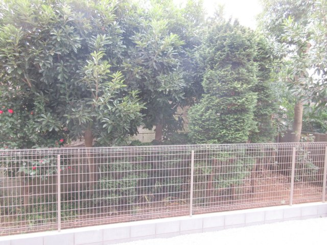 ワンフォルクの展望