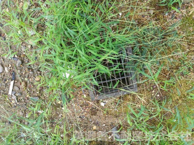 ６７４３９　岐阜市早田町３丁目土地の外観