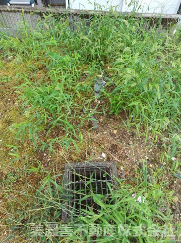 ６７４３９　岐阜市早田町３丁目土地の外観