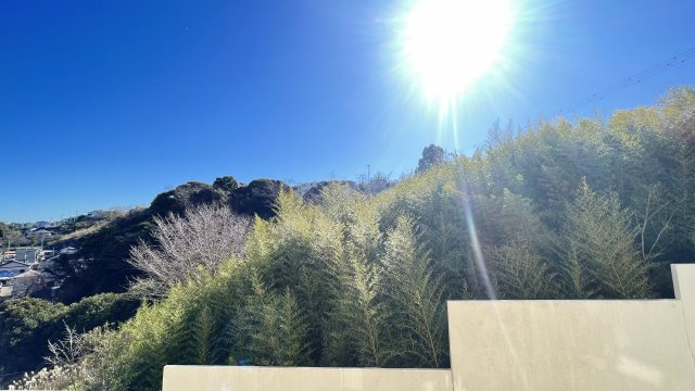 ホーユウパレス衣笠公園のその他|【展望】