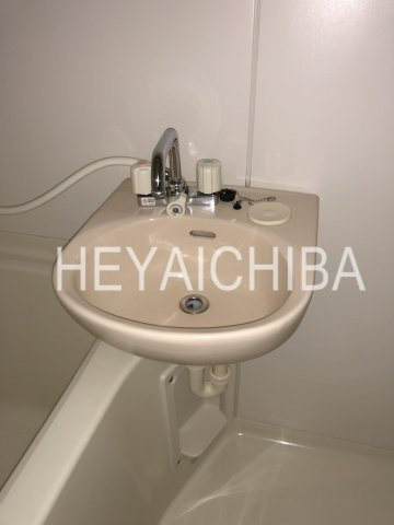 セントアイヴィス向島の洗面所