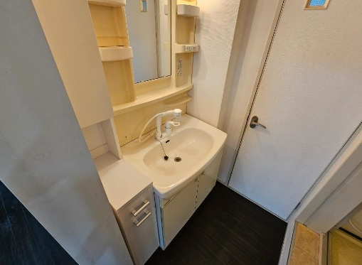 大阪市中央区瓦屋町２丁目の賃貸マンションの洗面所