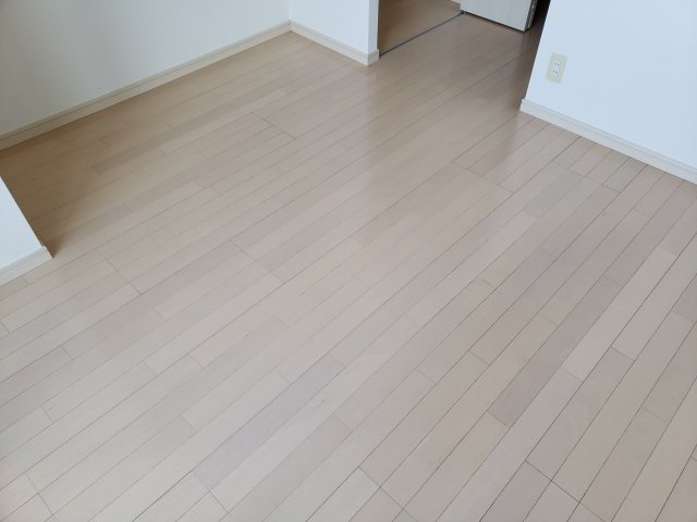 THEパームス新小岩の内装
