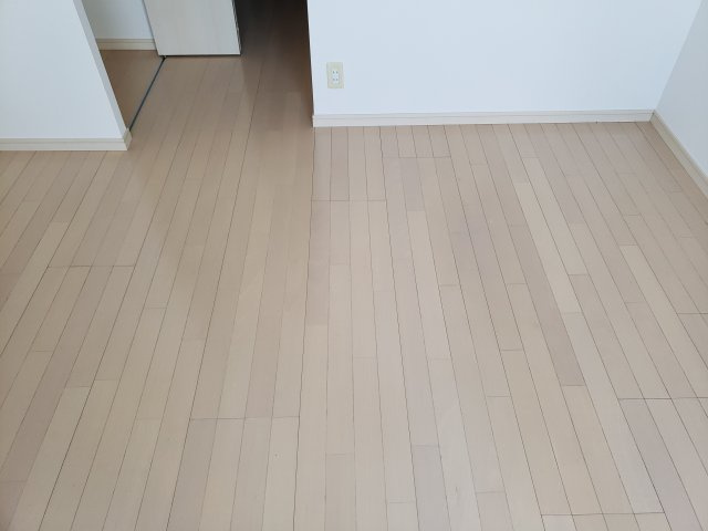 THEパームス新小岩の内装