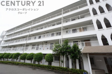 シャンボール芦屋の画像
