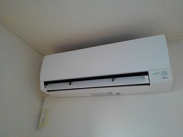 プラシードのその他