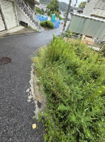 東垂水町字高丸　土地の前面道路含む現地写真