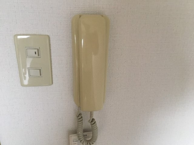 ティアラ八帖のセキュリティ|同型イメージ