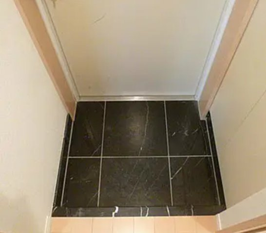 ヴァレッシア錦糸町シティの玄関