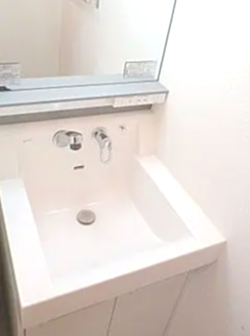 ヴァレッシア錦糸町シティの洗面所