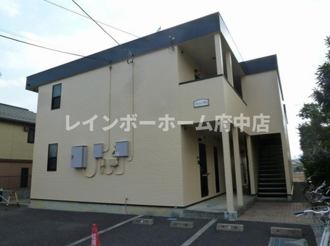 アムール琴Ⅱの外観