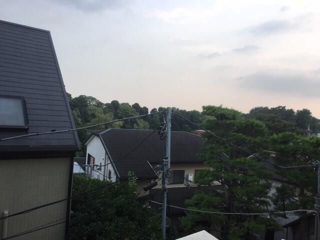 アルティスタの展望