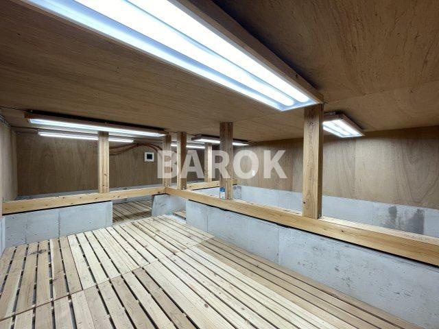 住吉5丁目戸建てのトイレ