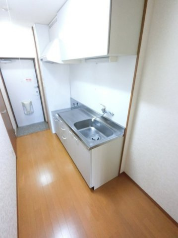 ブリジット のその他