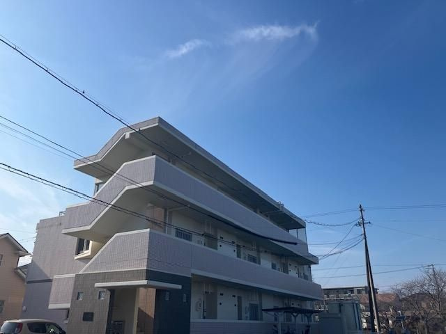 エルセレッソのその他