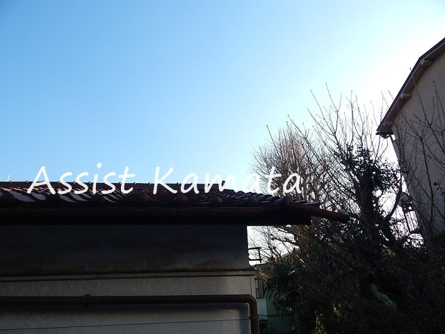 ハイムスミホウの展望