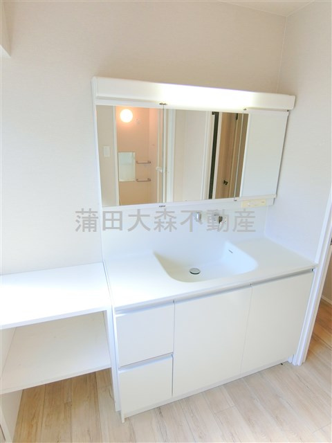 セブンハイム岩間の洗面所