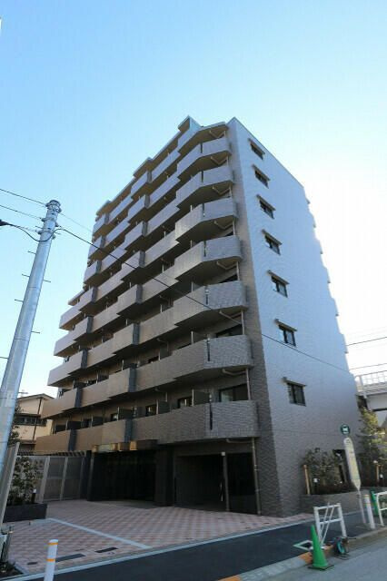 ルーブル蓮根