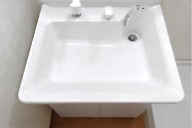 メゾンリッシュの洗面所