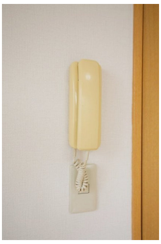 レッドフラッツ成城のセキュリティ
