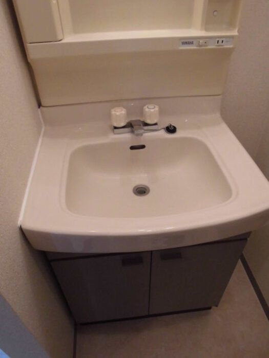 セジュール川間　Ｂの洗面所