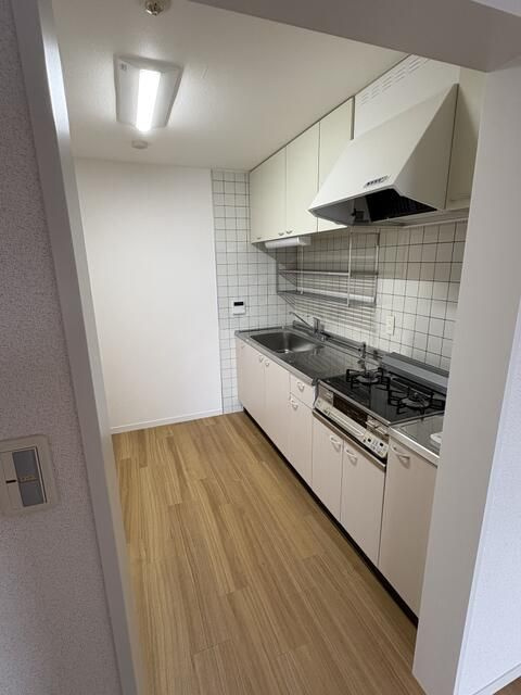 Ｎ・ＦプラザⅡのキッチン