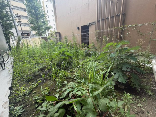 渋谷区東　建築条件なし売地