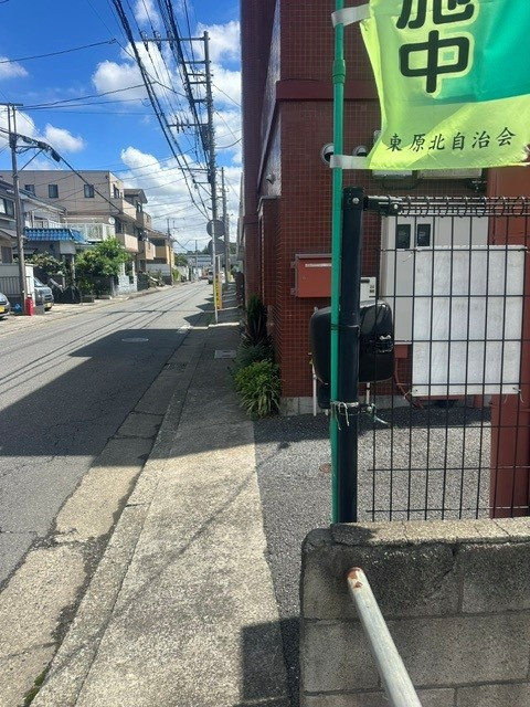 セザール大和