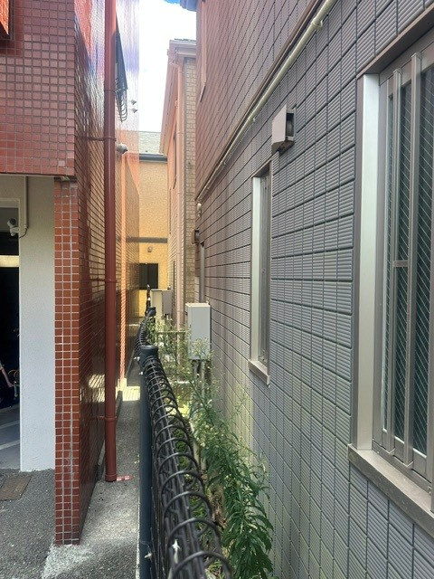 セザール大和