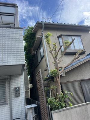 【外観】 | 西宮高木東戸建て | 外観もきれいです