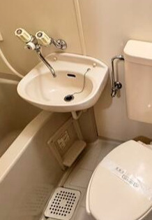 メゾンドマキシムの洗面所