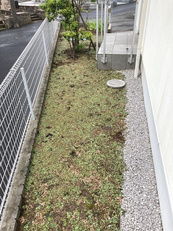 長後戸建の庭