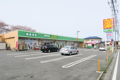 ドラッグエース岸町南店まで250m