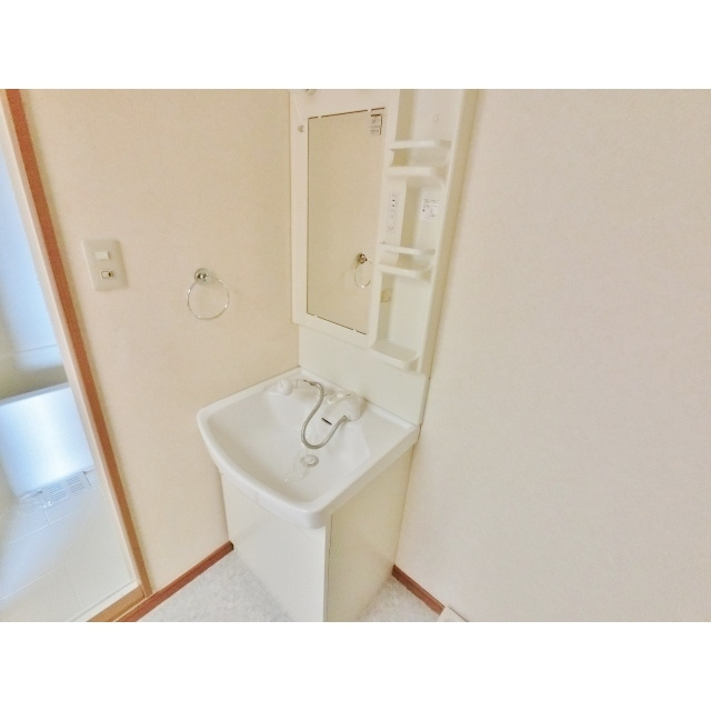 アメニティ葛谷の洗面所