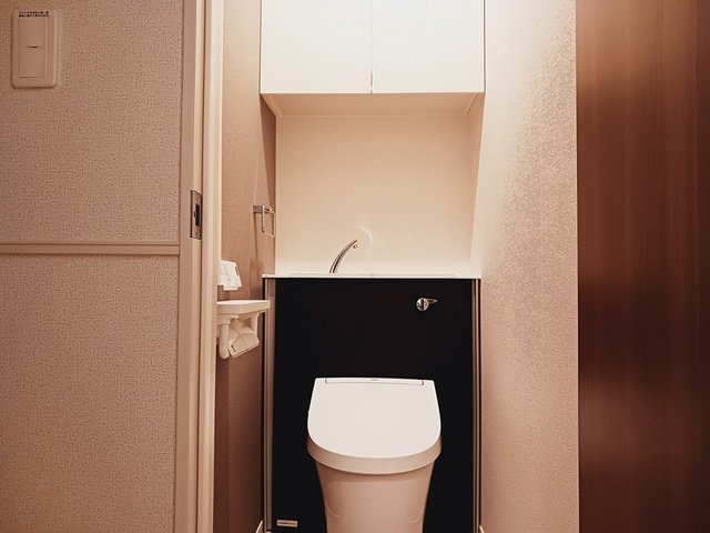ラパン添島のトイレ|落ち着いた色調のトイレです